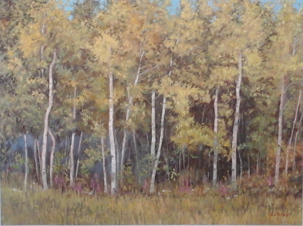 Click here to view Trees--Birch Woods by John Horejs