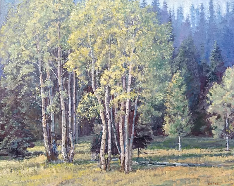 Click here to view Trees--North Rim Aspens by John Horejs
