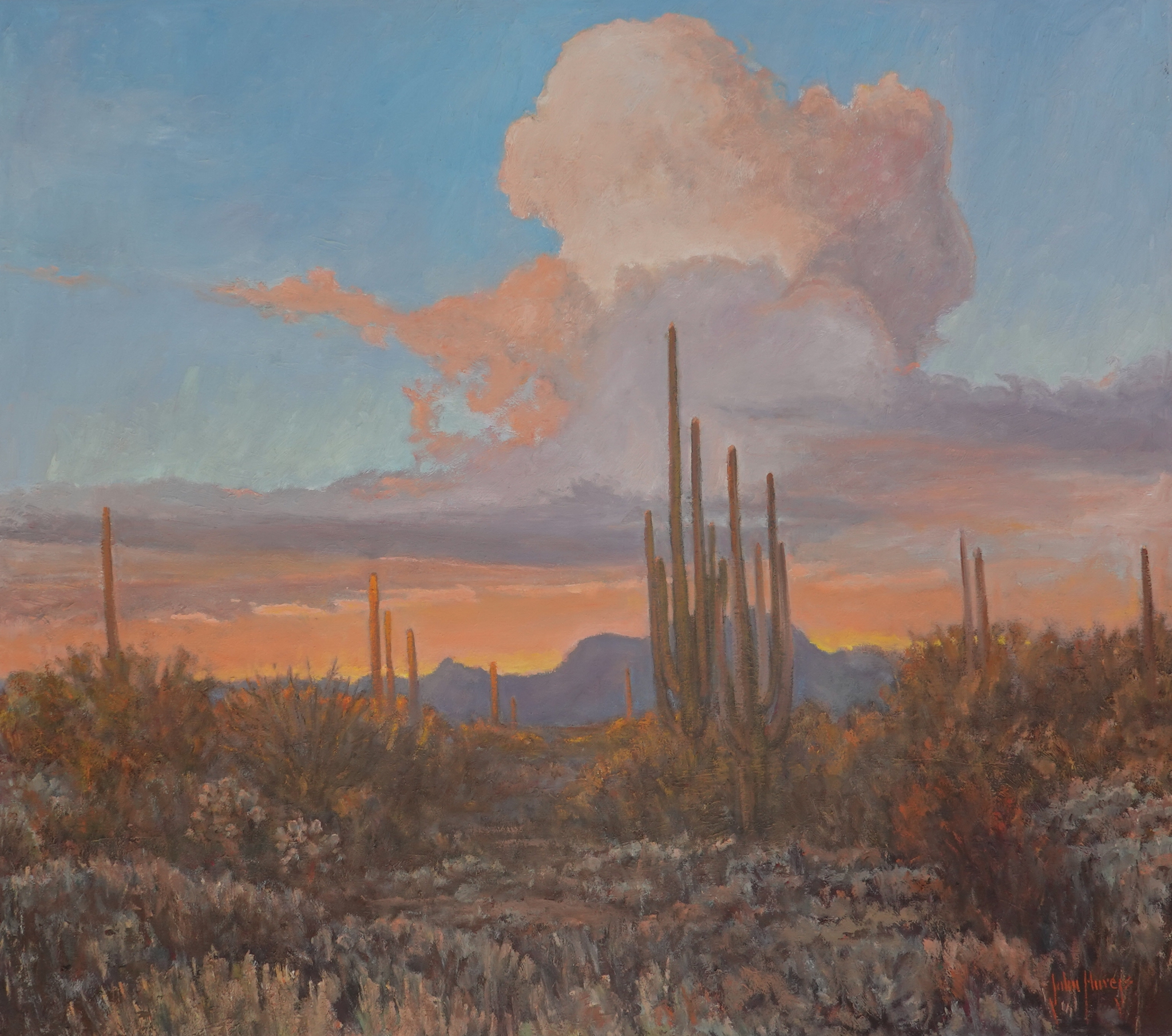Click here to view Desertscape--Thunderheads Over the Desert by John Horejs
