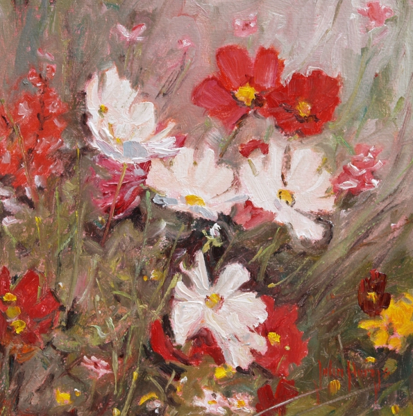 Click here to view Floral--Cosmos Dreams by John Horejs