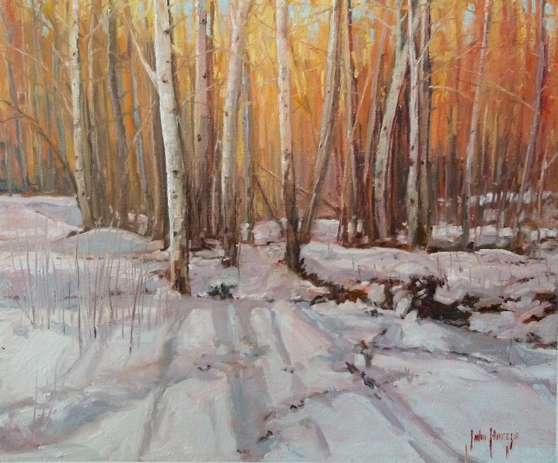 Click here to view Trees--Late Autumn Snow by John Horejs