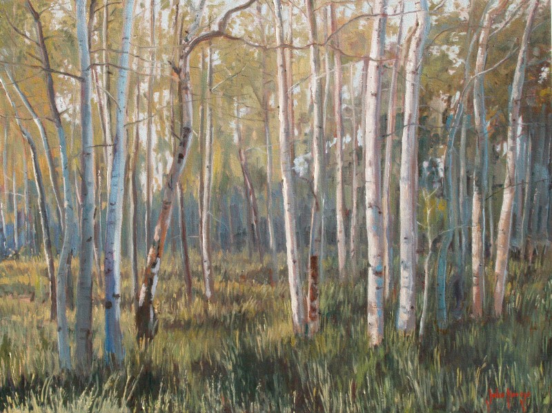 Click here to view Trees--Aspen Woods by John Horejs