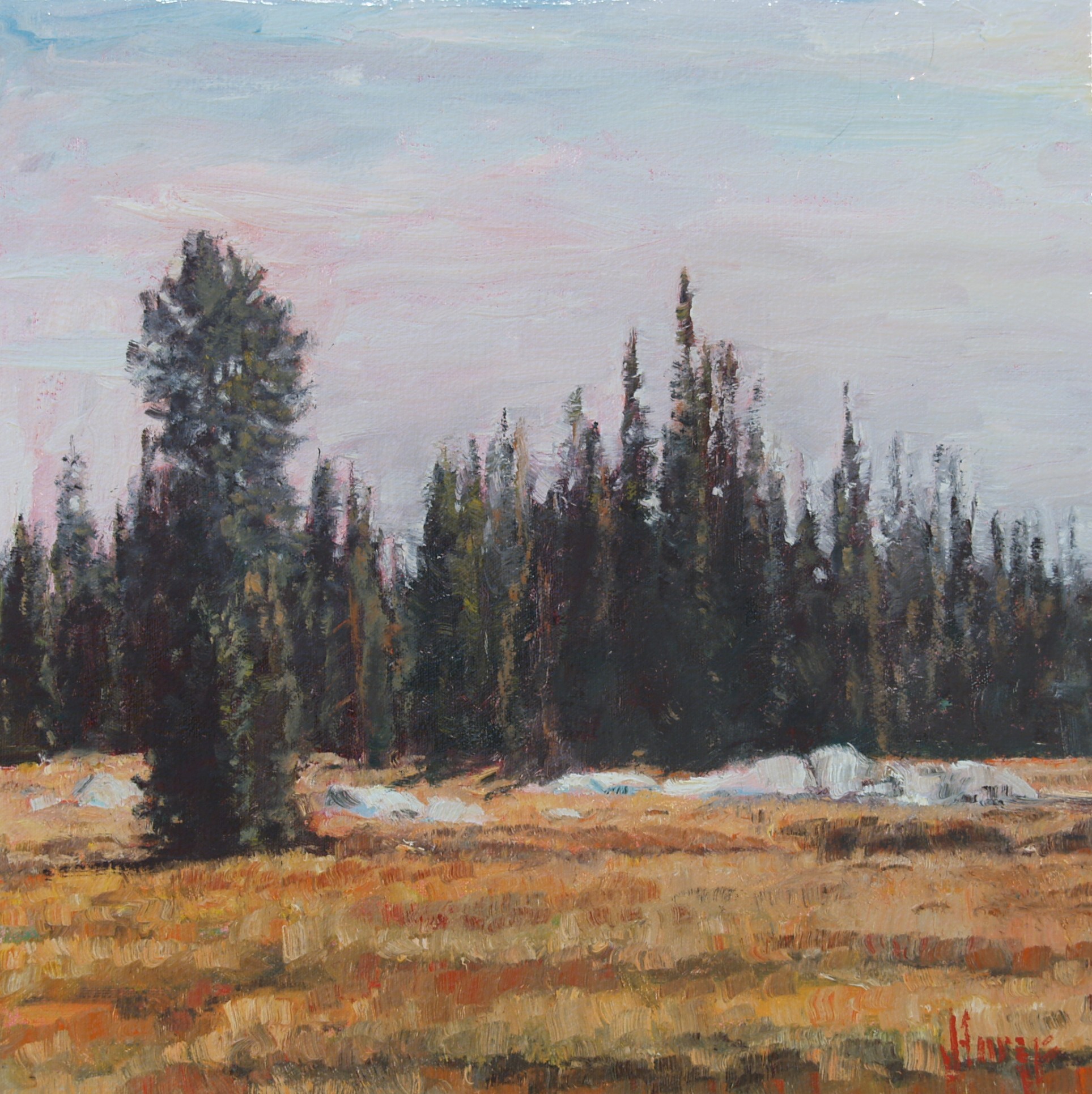 Click here to view Trees--Rocky Meadow by John Horejs