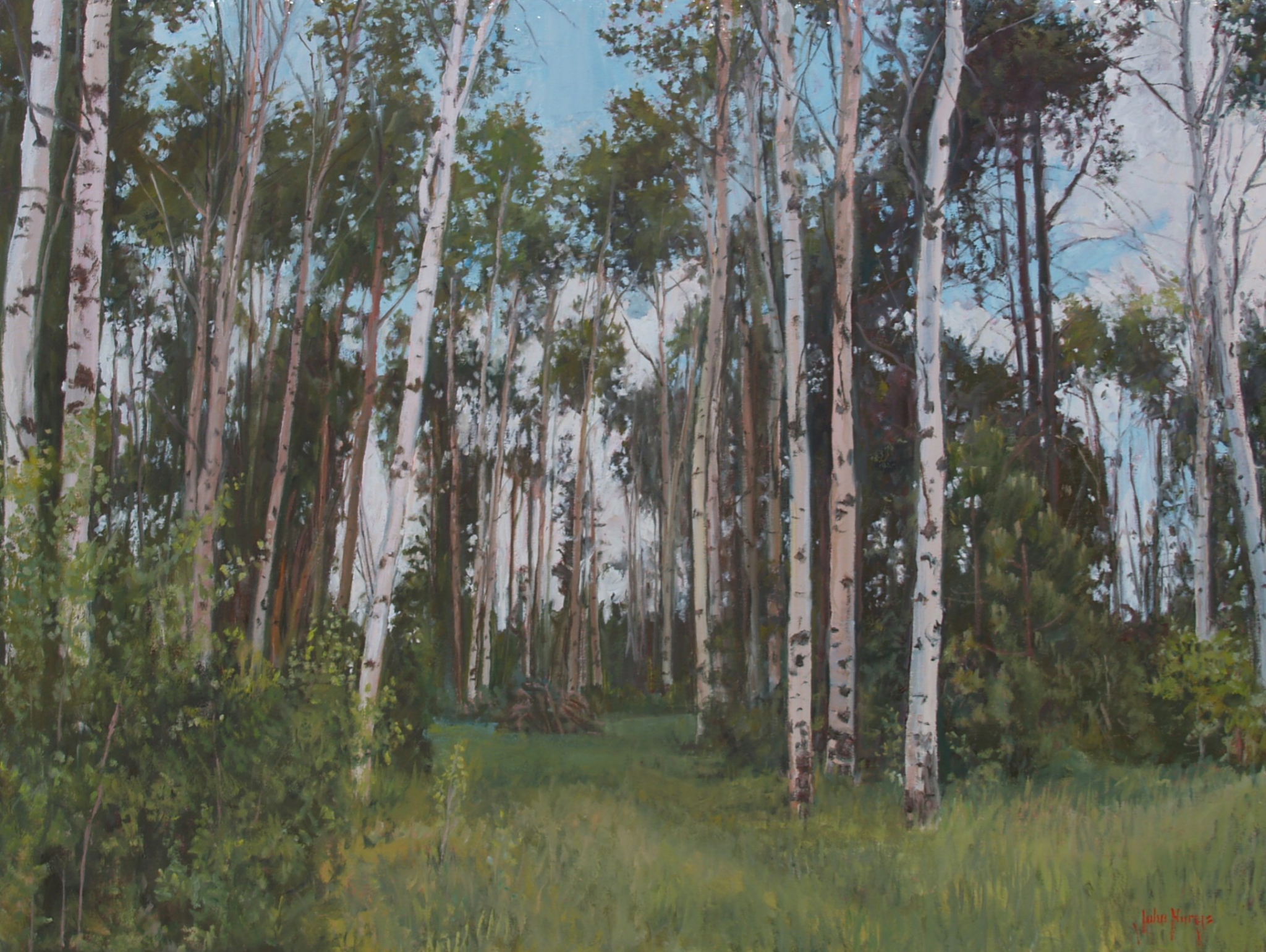 Click here to view June Birch Forest by John Horejs
