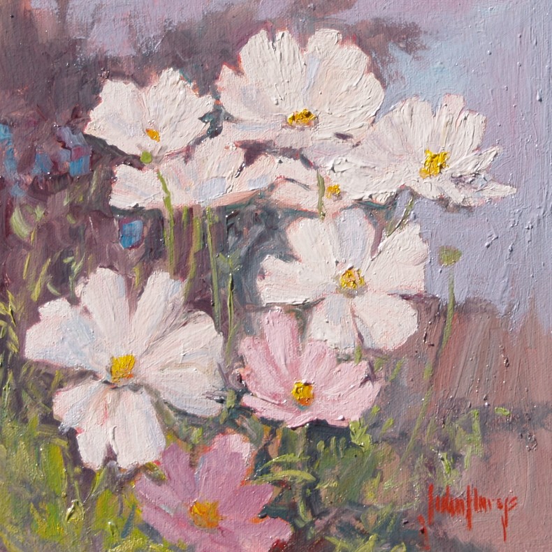 Click here to view Floral--Cosmos by John Horejs