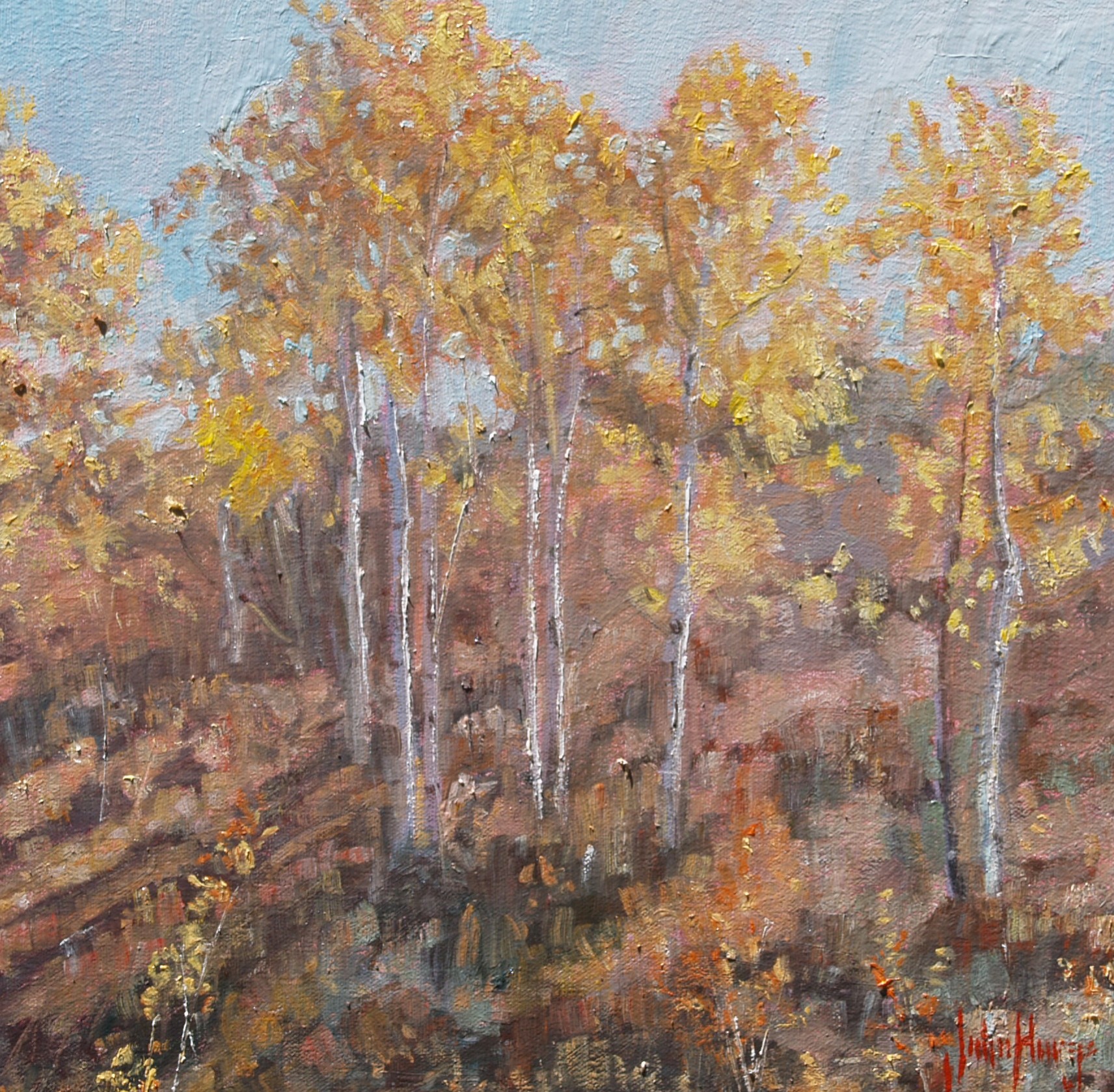 Click here to view Trees--Golden Birches by John Horejs