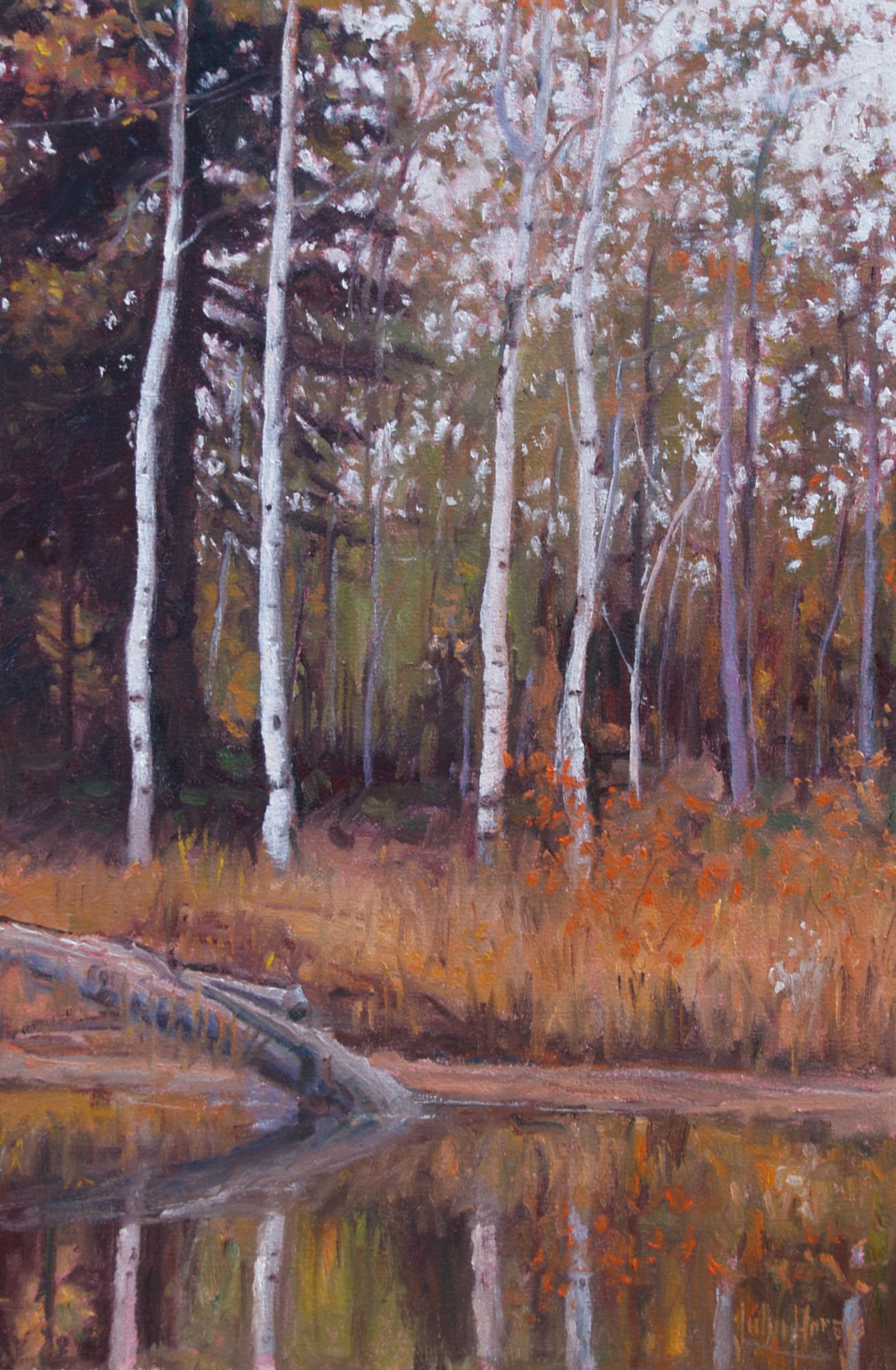 Click here to view Trees--Reflections of Autumn by John Horejs