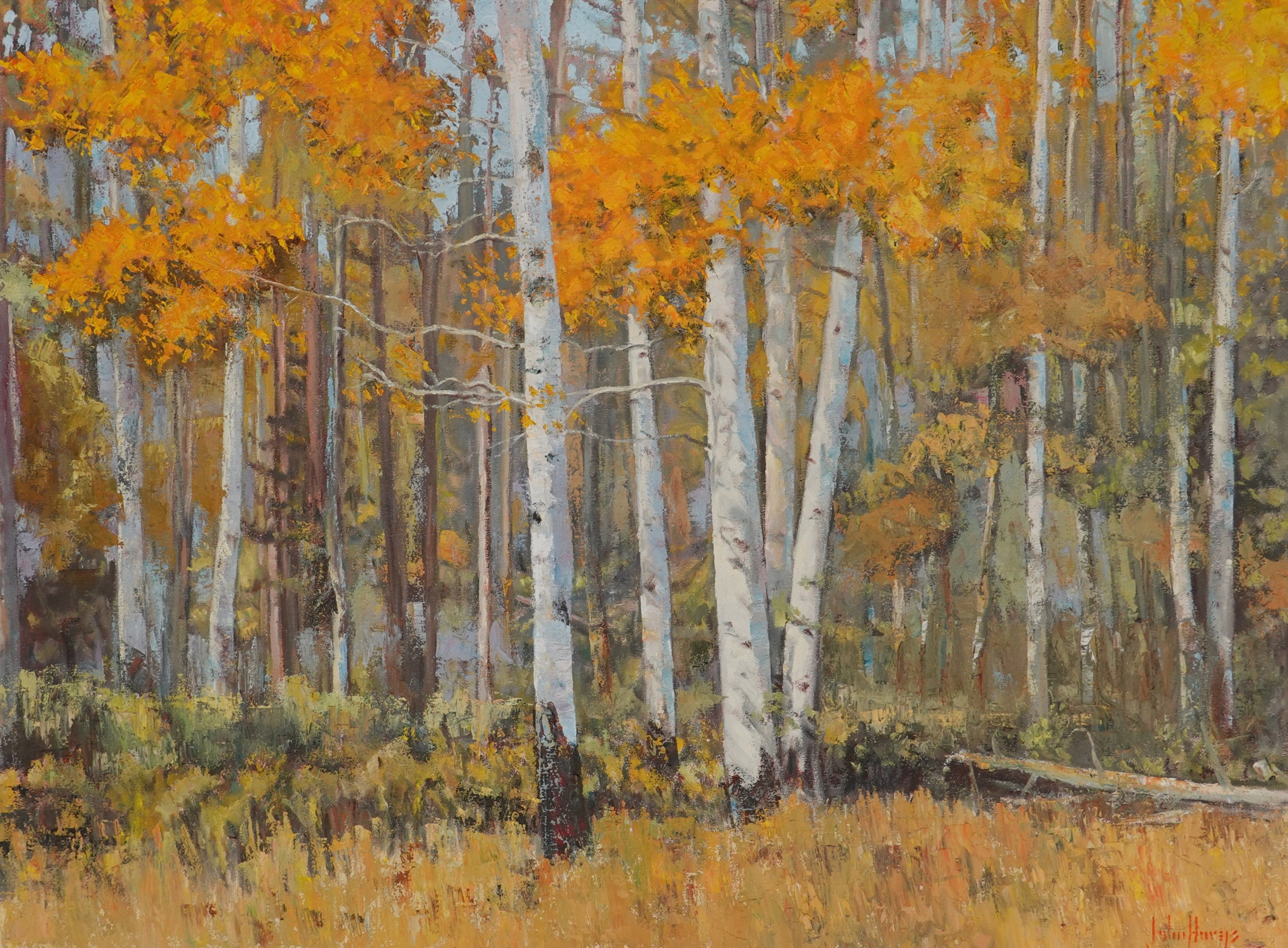 Click here to view Trees--October Aspen Shadows by John Horejs