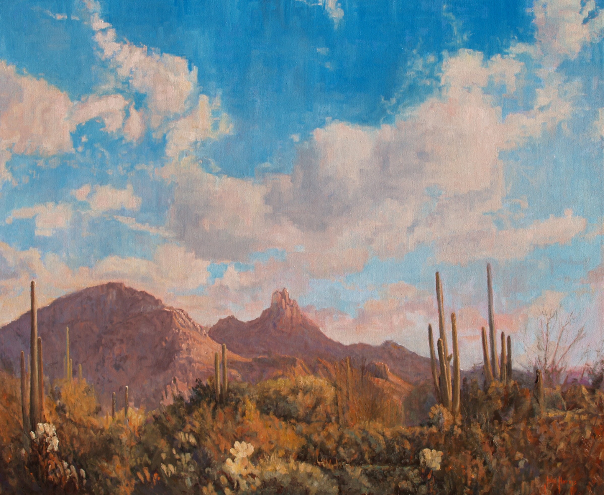Click here to view Desertscape--Clouds Over Pinnacle Peak by John Horejs