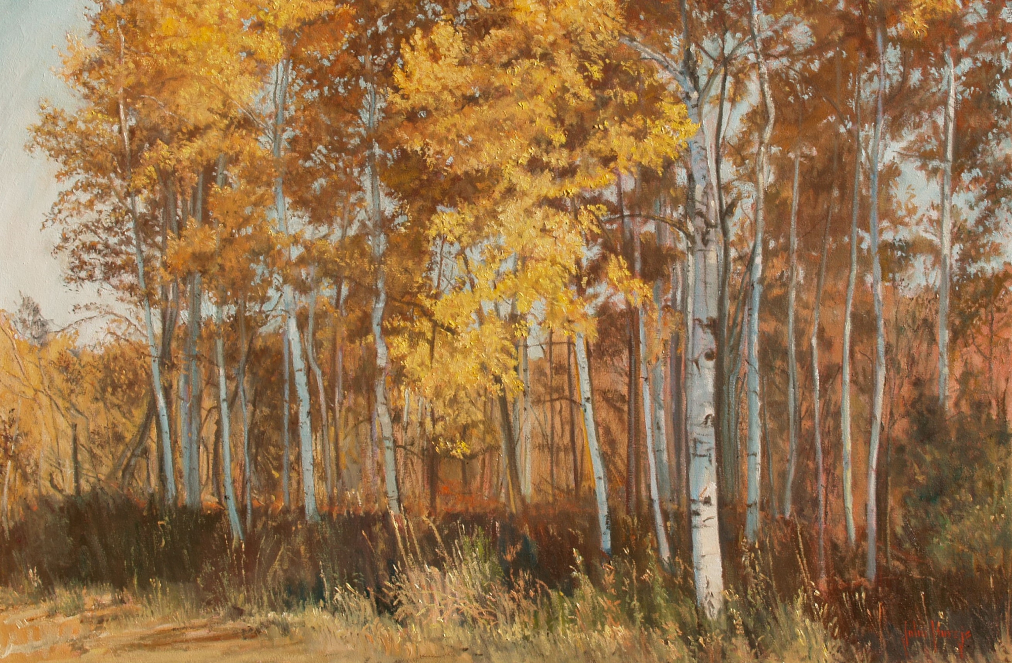 Click here to view Trees--Autumn Grove by John Horejs