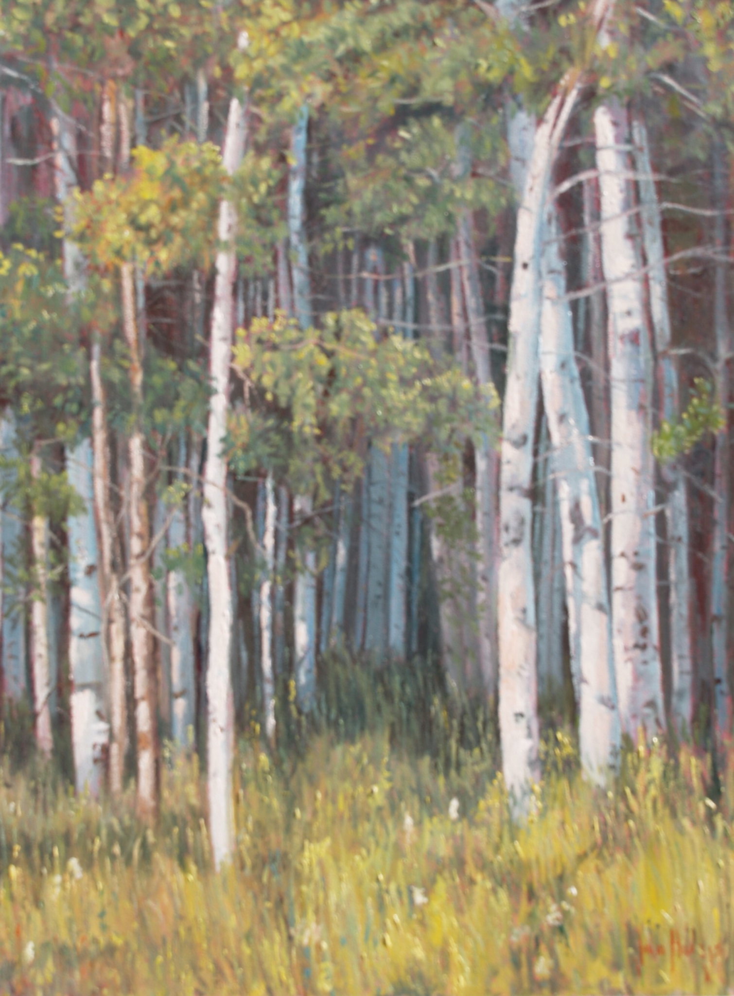 Click here to view Trees--Shadowed Woods by John Horejs