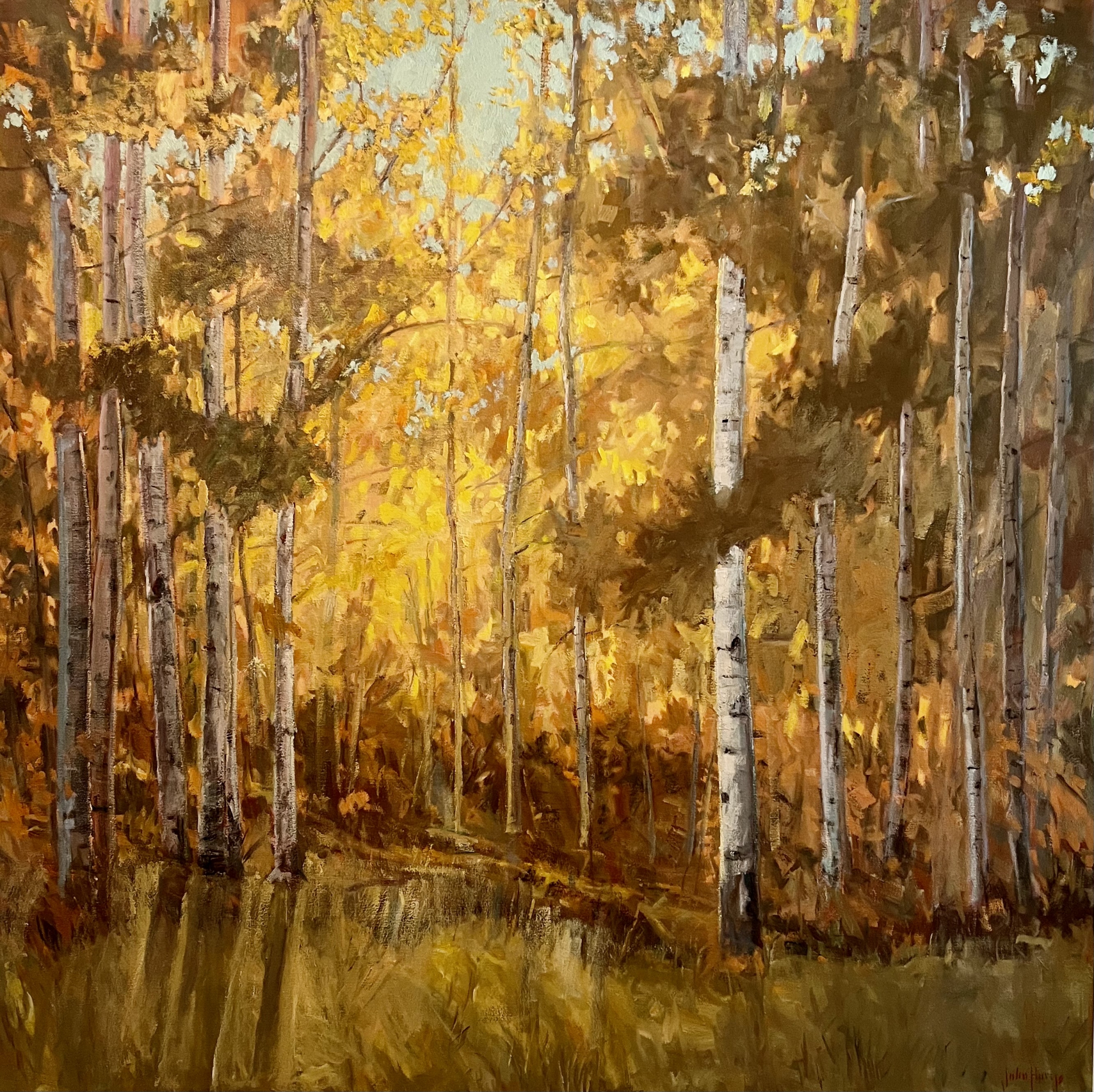Click here to view Trees--The Golden Hour by John Horejs