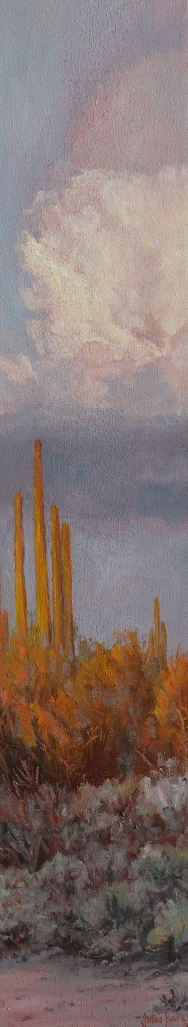 Click here to view Desertscape--Desert Glow by John Horejs