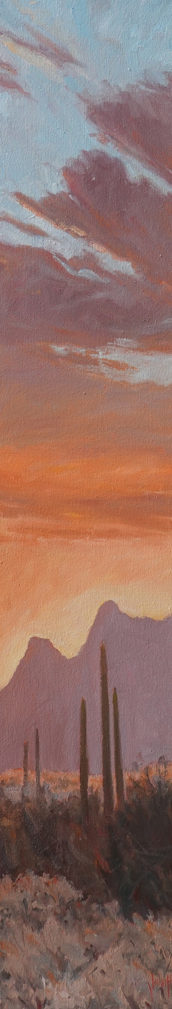 Click here to view Desertscape--Desert Sunset Glow II by John Horejs