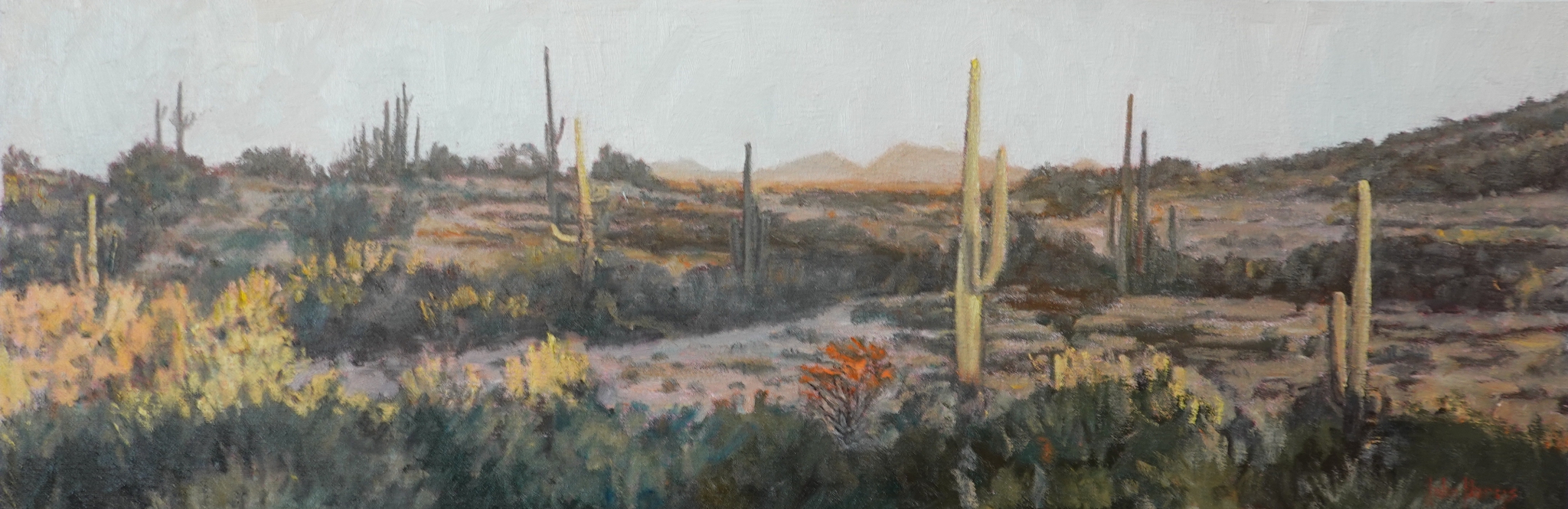 Click here to view Desertscape--Sunlit Desert by John Horejs