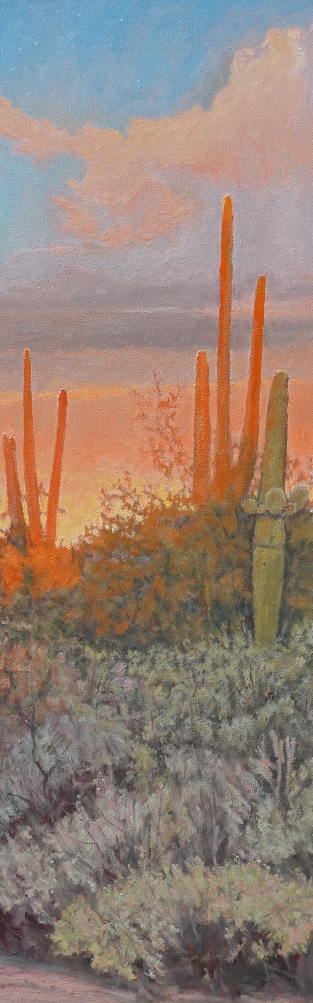 Click here to view Desertscapes--Sonoran Colors II by John Horejs