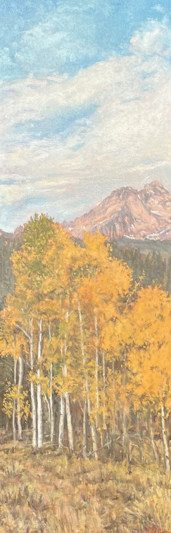 Click here to view Trees--Autumn in the Sawtooths by John Horejs