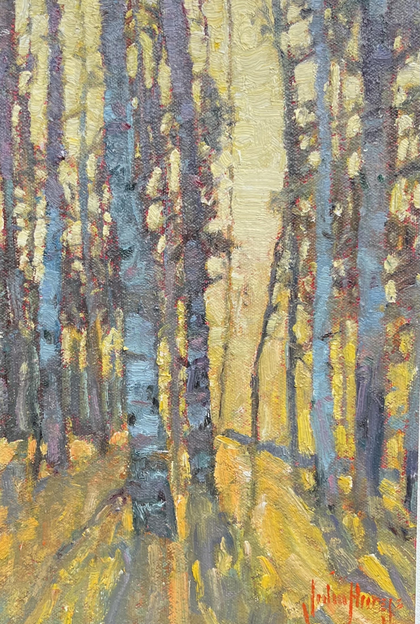 Click here to view Trees--Woodland Glow by John Horejs