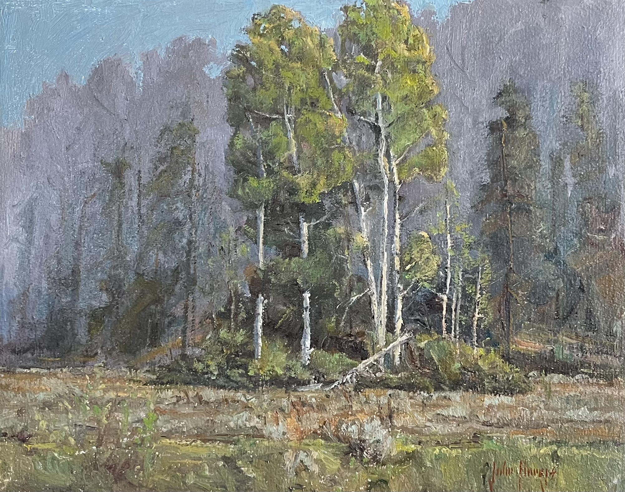 Click here to view Backlit Aspens by John Horejs