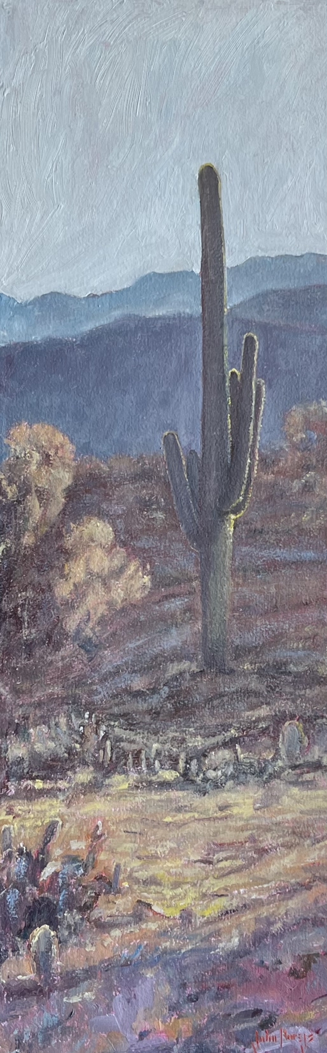 Click here to view A Place in the Sun by John Horejs