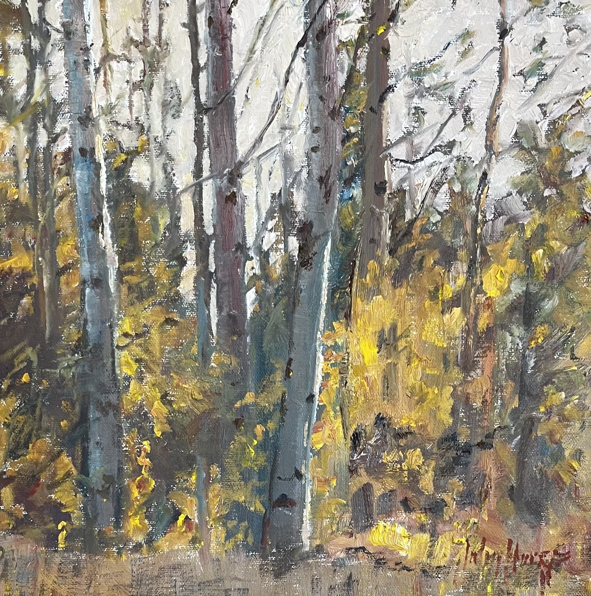 Click here to view Trees--Autumn Aspens by John Horejs
