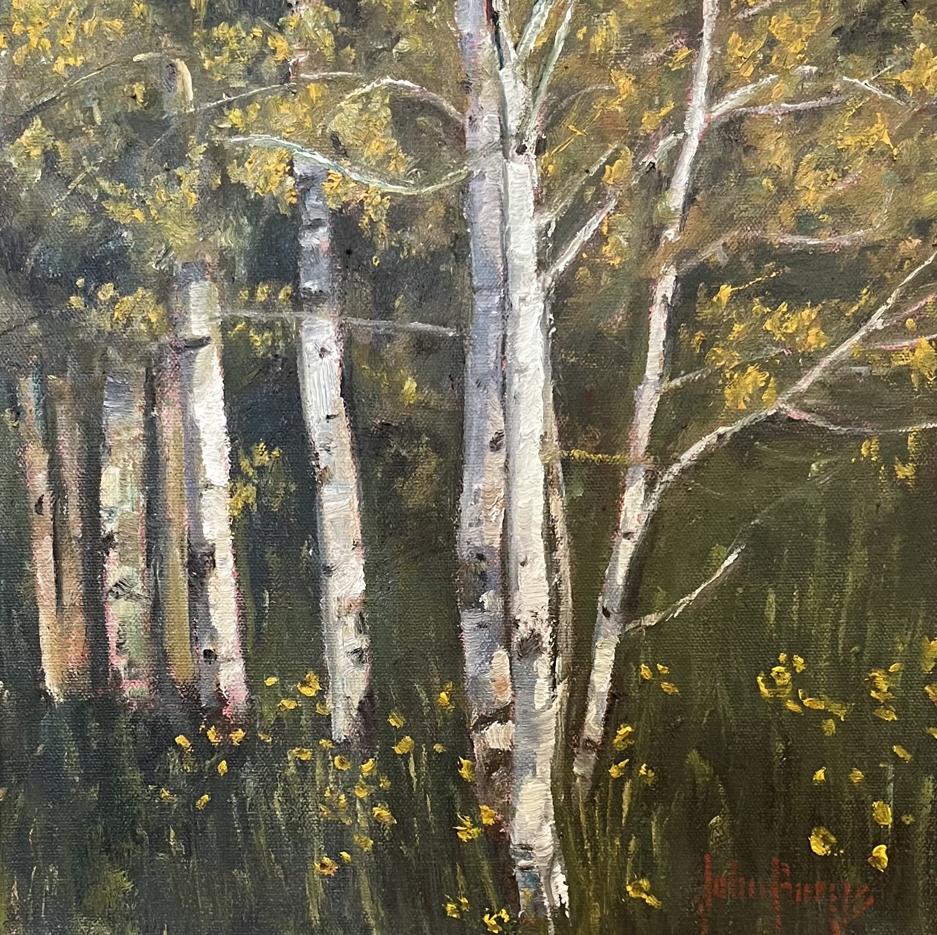 Click here to view Trees--Summer Aspen Grove by John Horejs