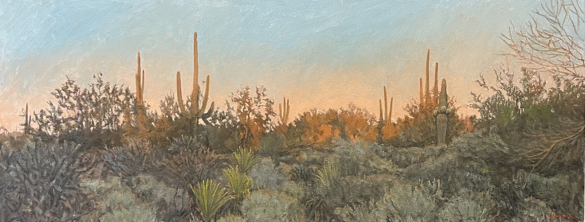 Click here to view Desertscape--Desert Evening Light  by John Horejs
