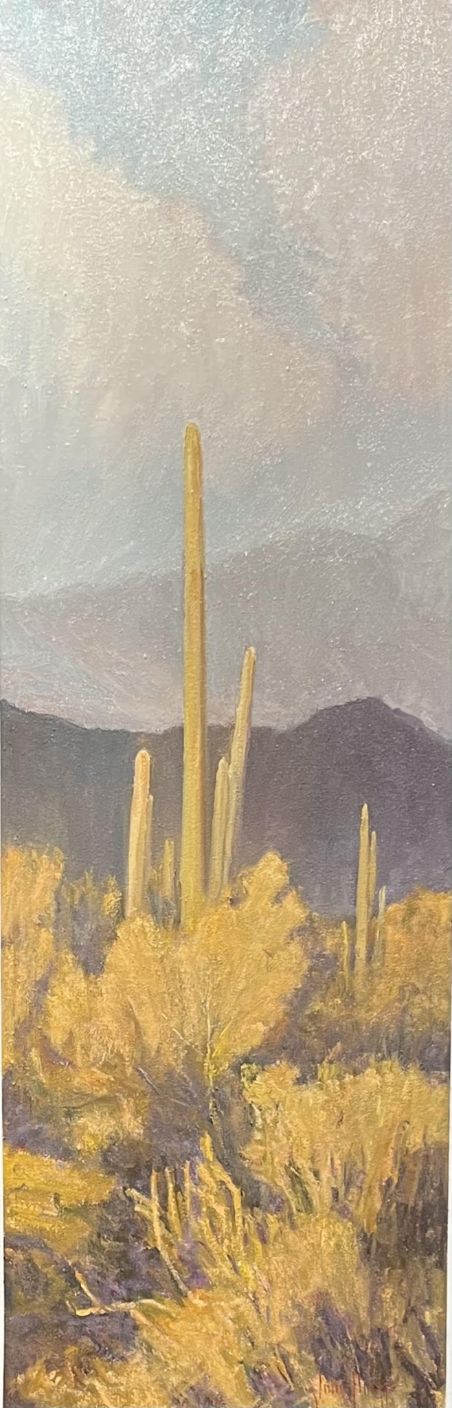 Click here to view Desertscape--Desert Sky by John Horejs