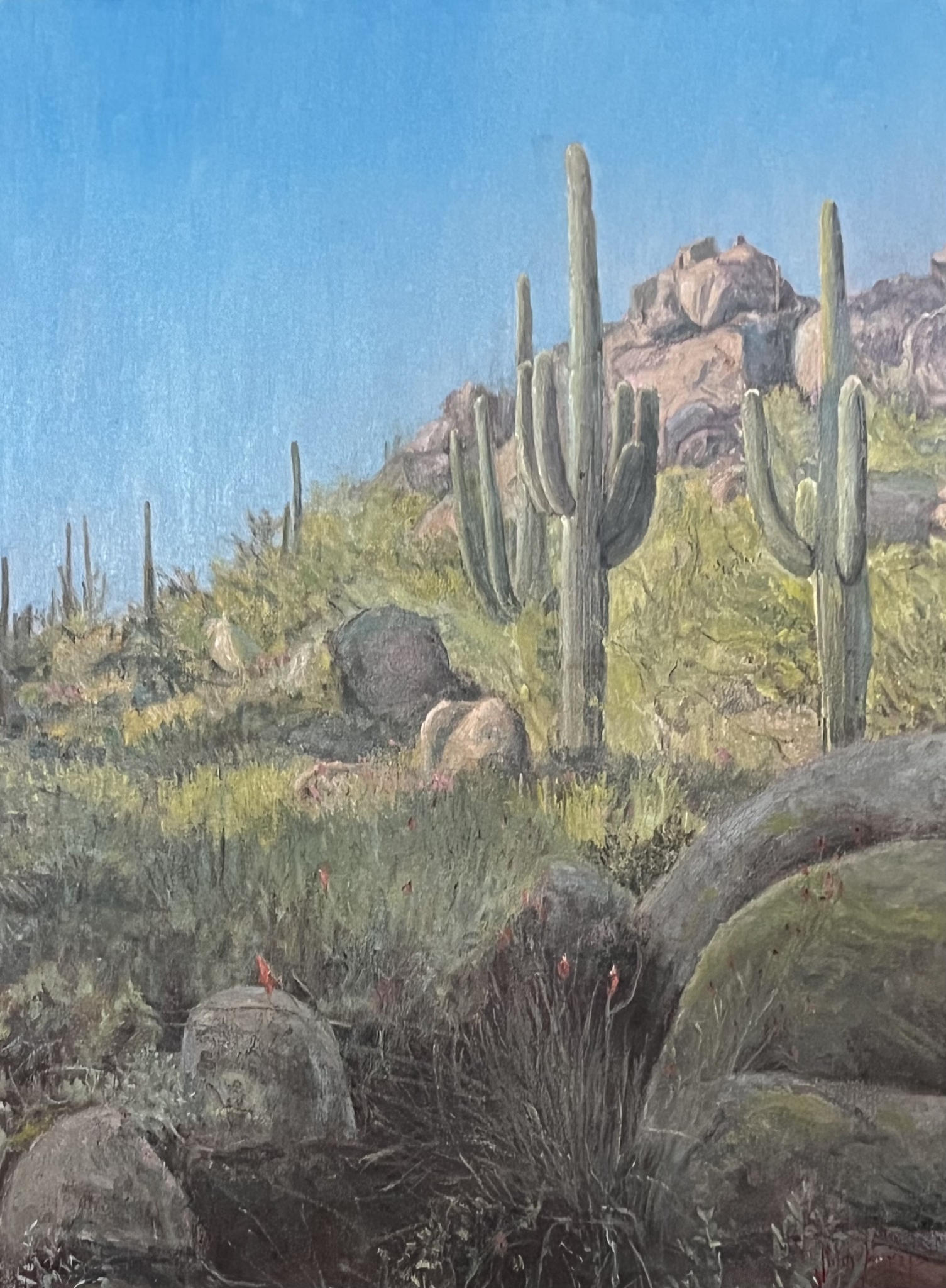 Click here to view Desertscapes--Shadows and Sunshine by John Horejs