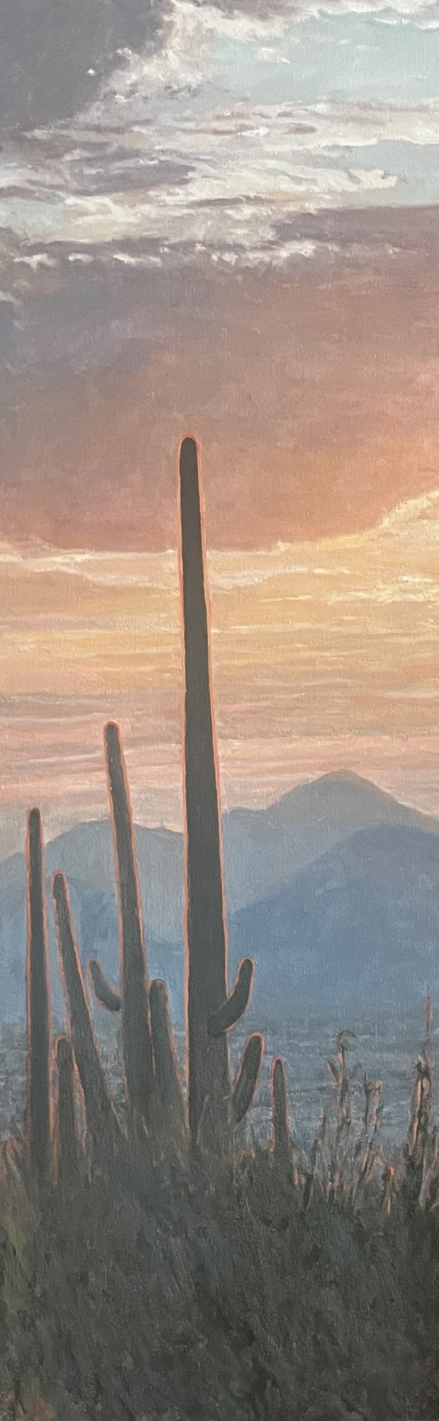 Click here to view Desertscape--Saguaros at Sunset by John Horejs