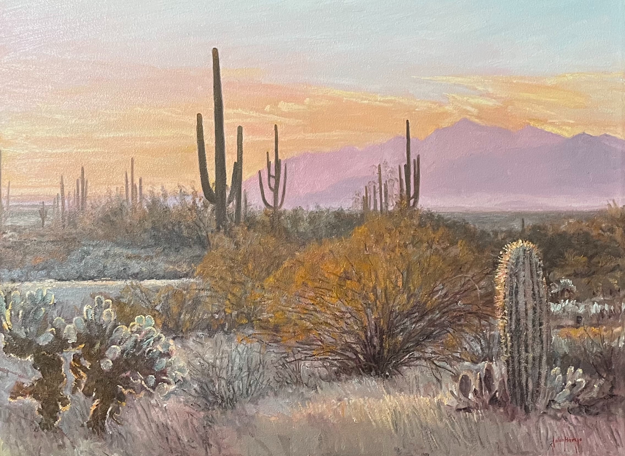 Click here to view Desertscapes--Desert Morning Glow by John Horejs