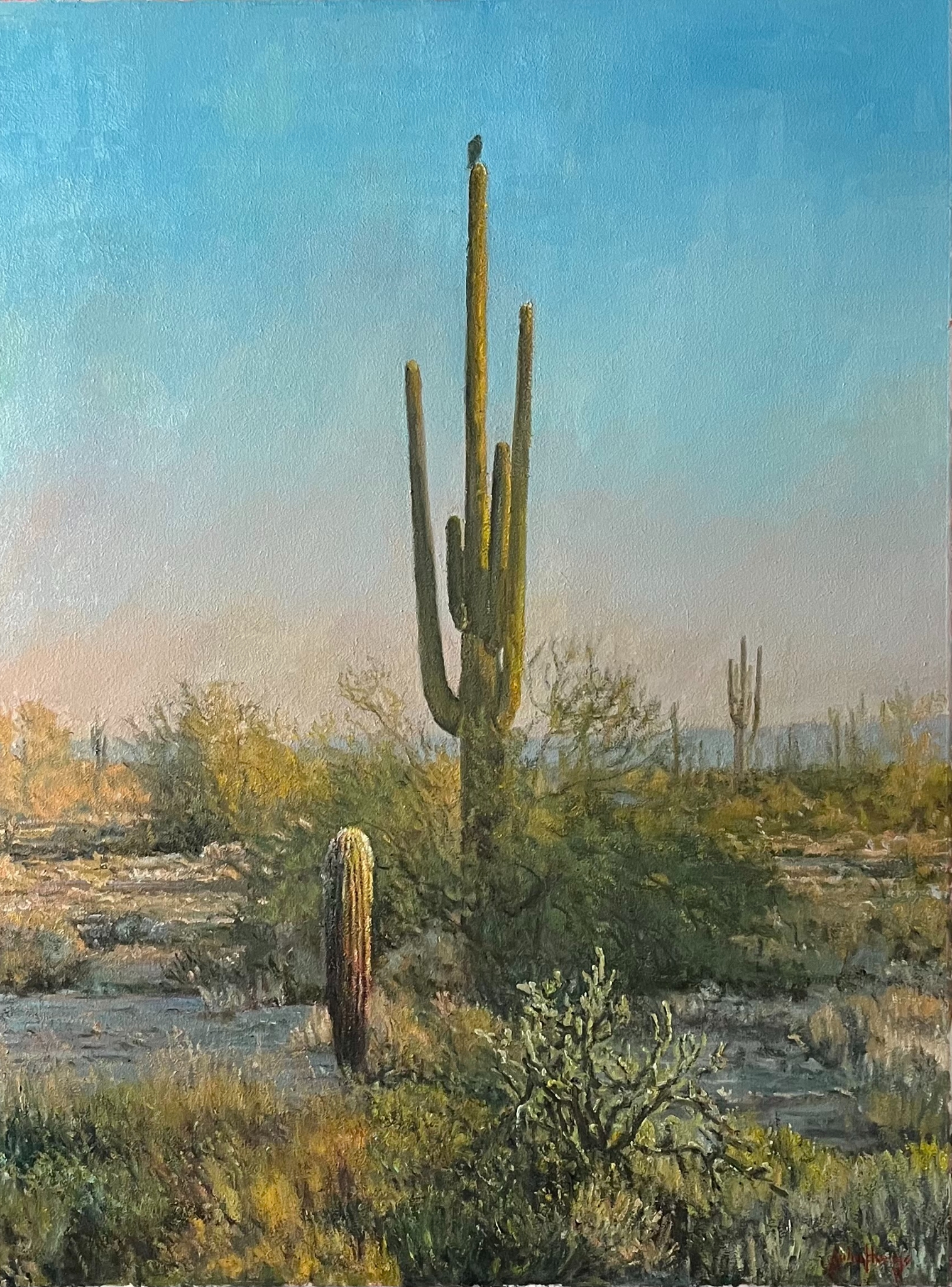 Click here to view Desertscapes--Saguaro at Dawn by John Horejs