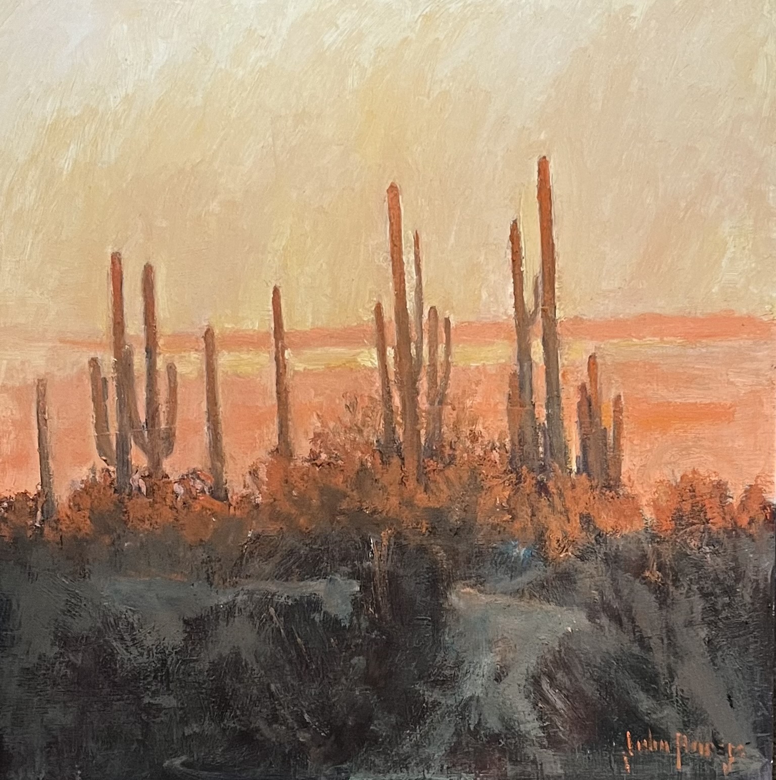 Click here to view Desertscape--Saguaro Shadows by John Horejs