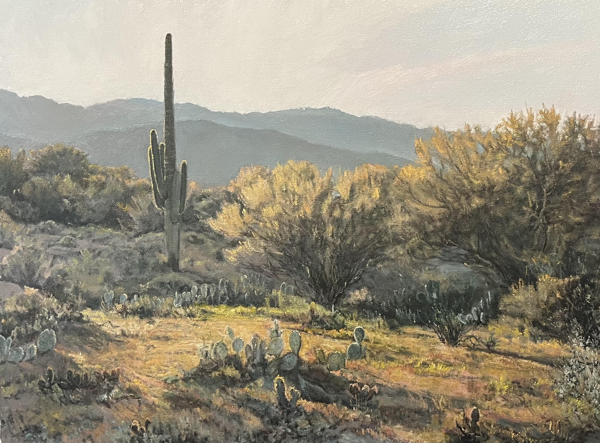 Click here to view Desertscape--Shadows at Dawn by John Horejs