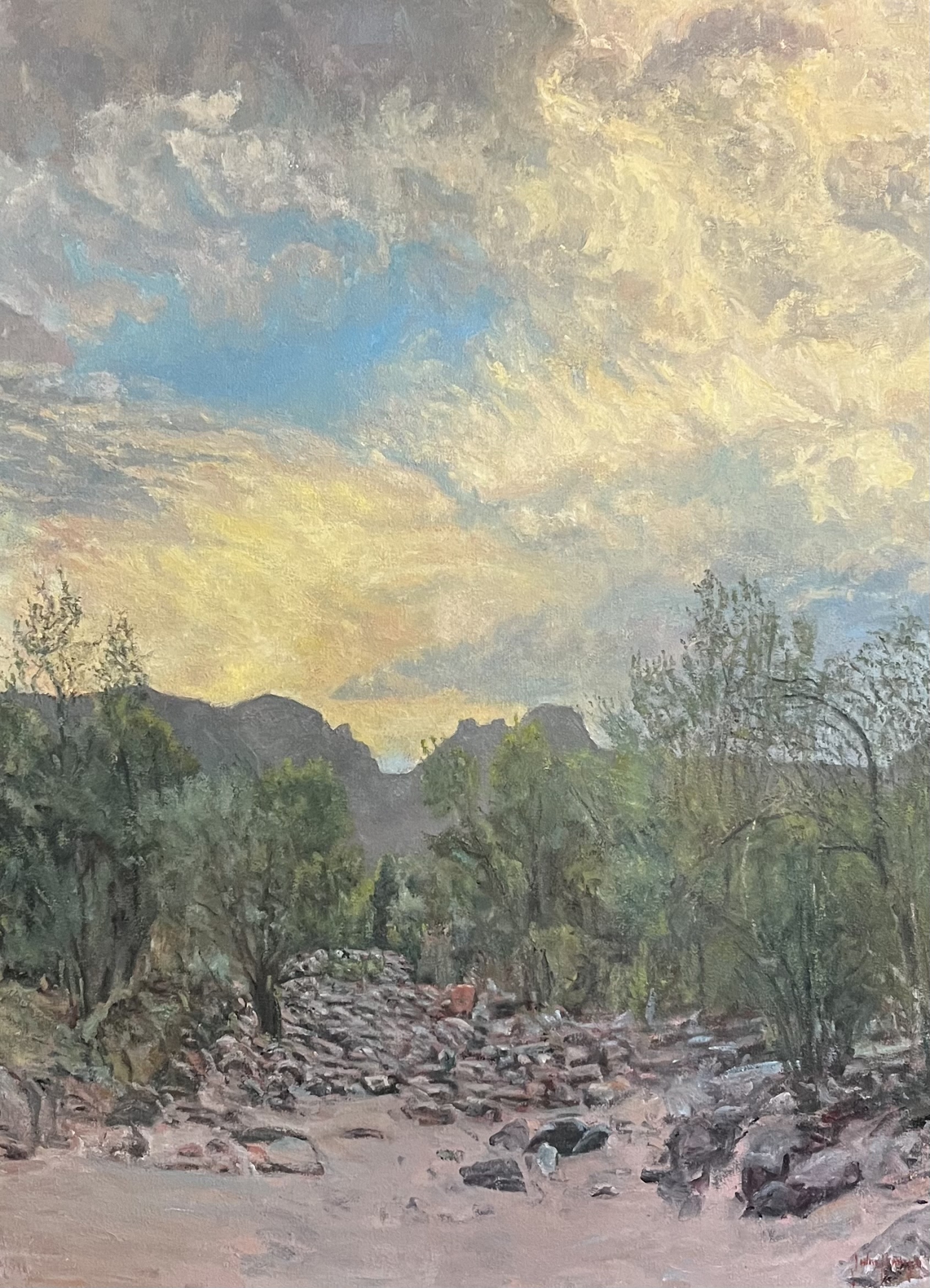 Click here to view Desertscape--Bear Creek Monsoon Clouds by John Horejs