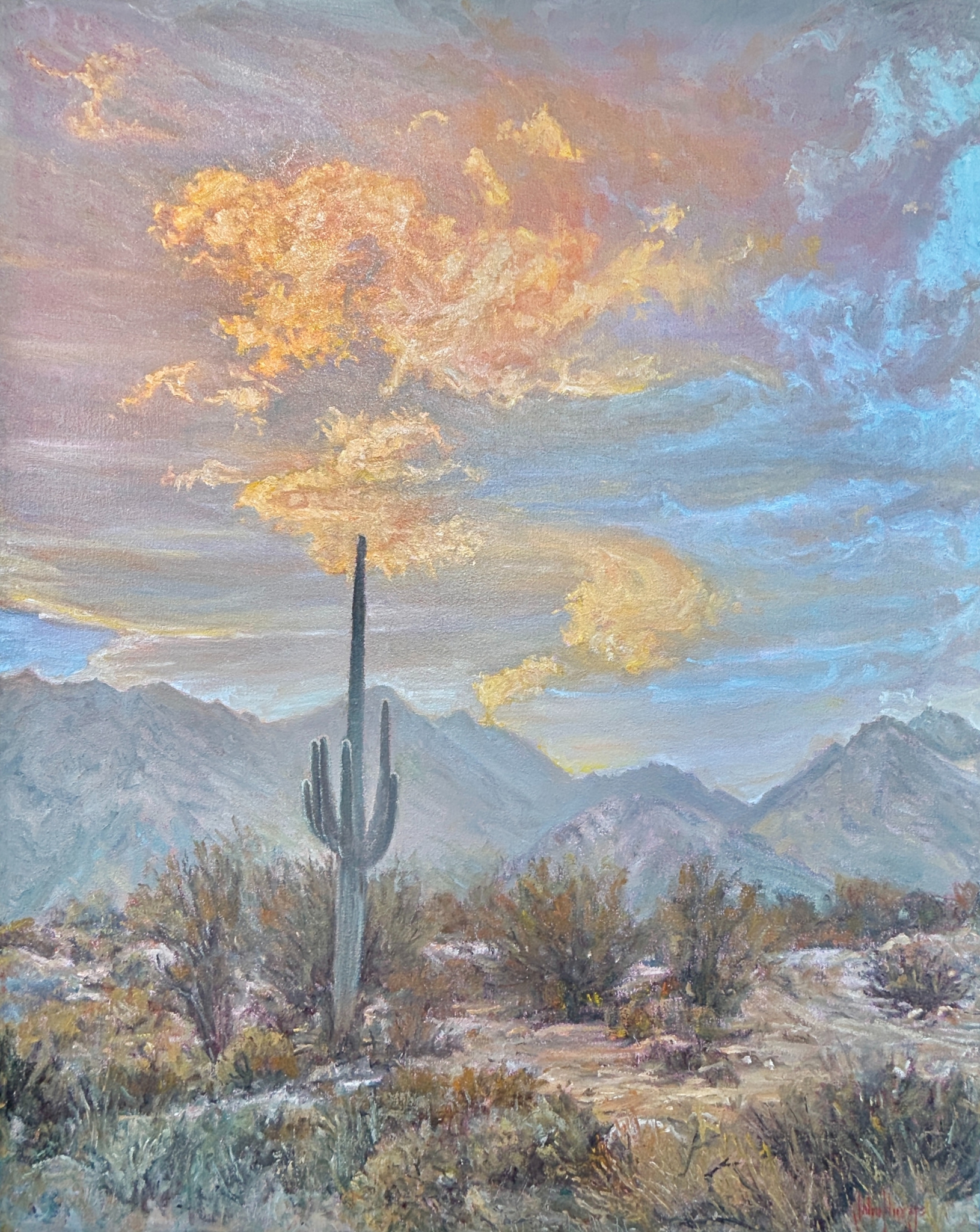 Click here to view Luminous Desert by John Horejs
