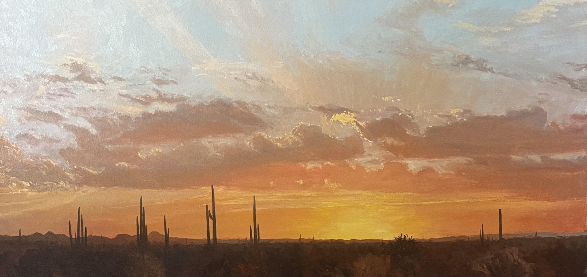 Click here to view Desertscape--Sonoran Desert Sky by John Horejs