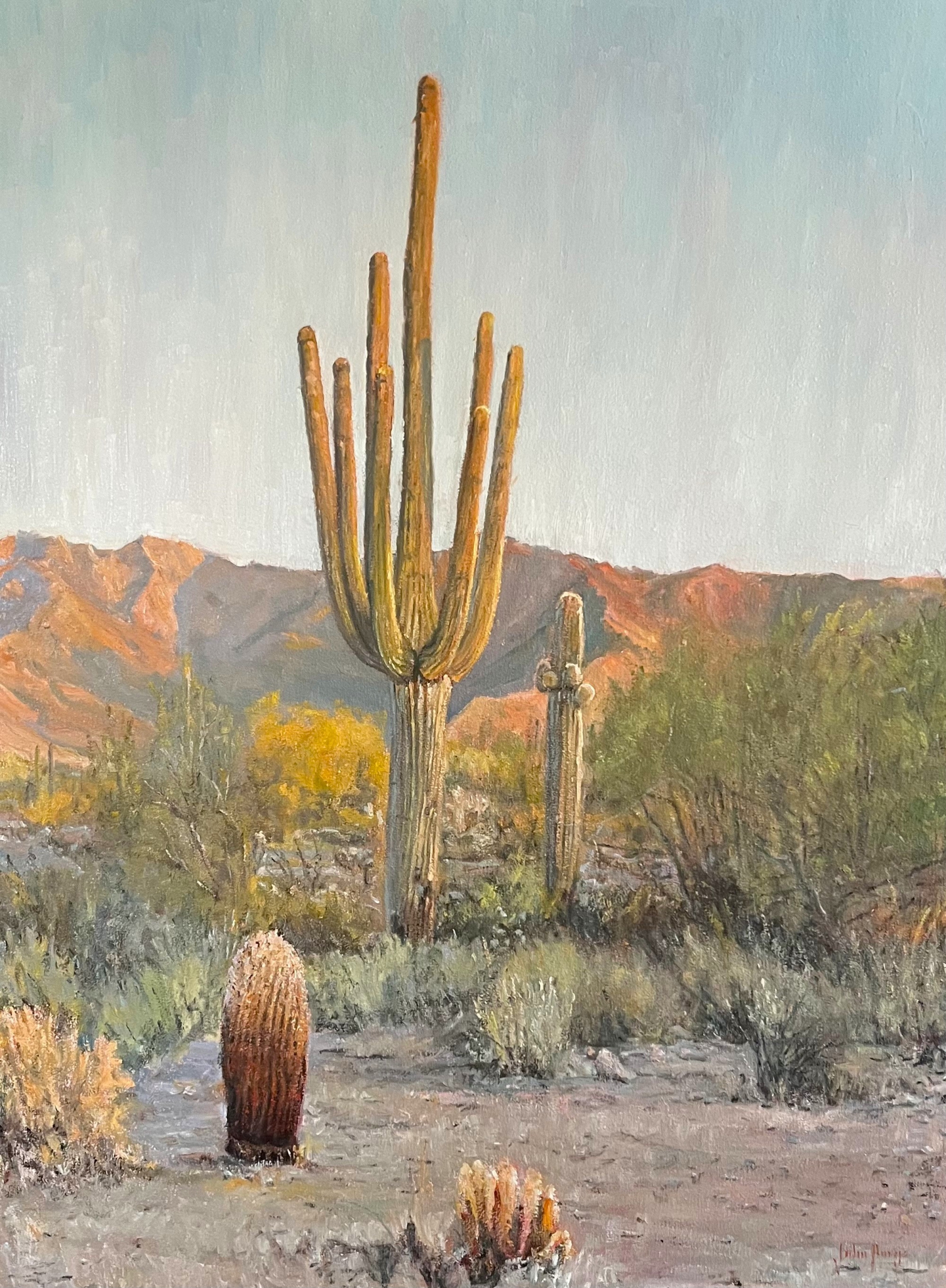 Click here to view Desertscape--Desert Daybreak by John Horejs