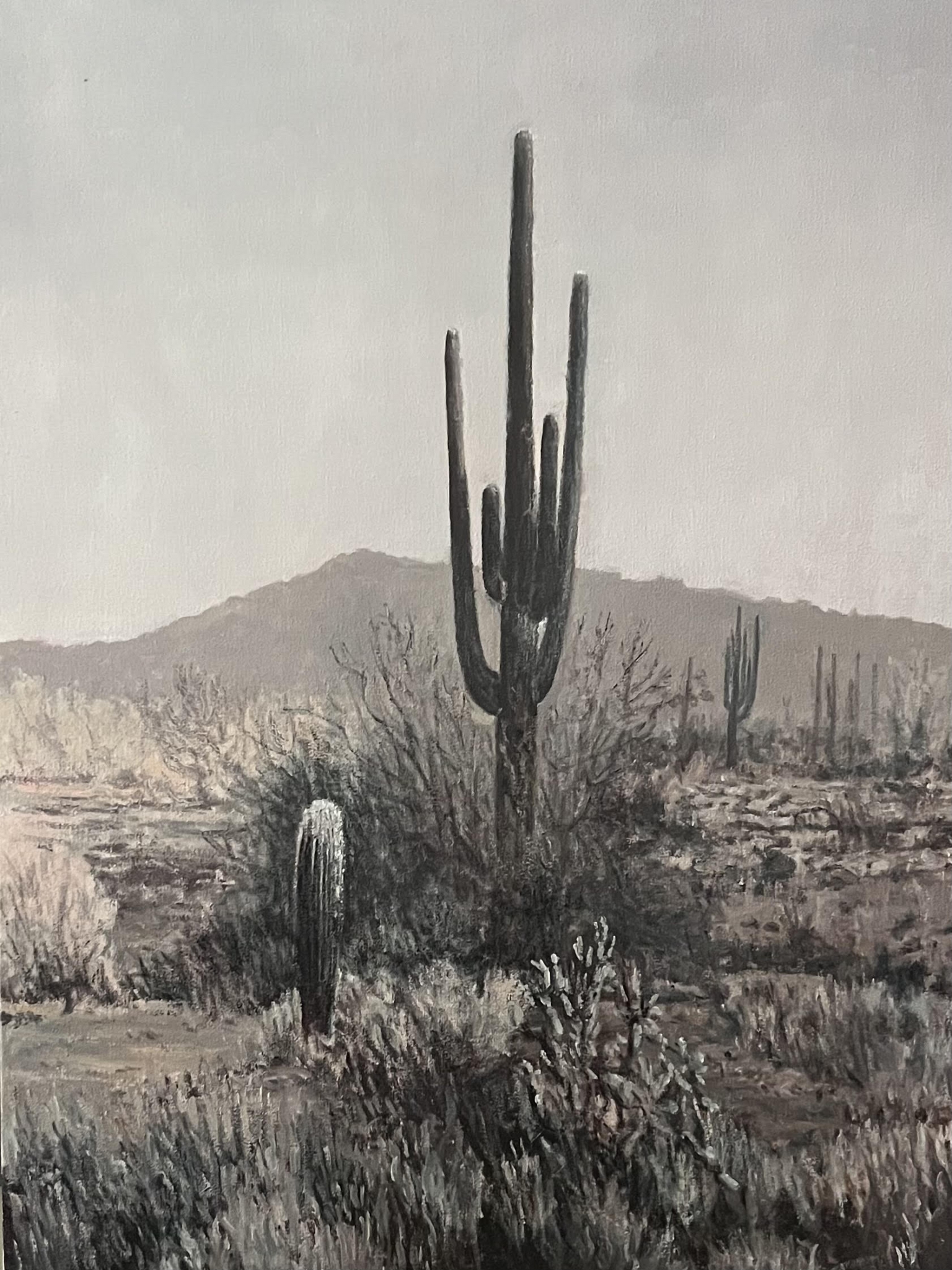 Click here to view The Desert in Black and White by John Horejs