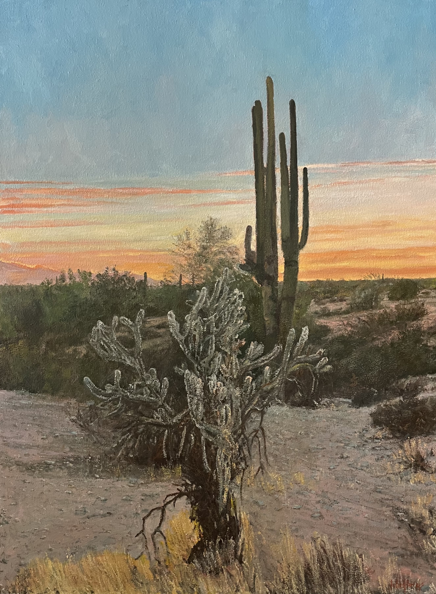 Click here to view Sonoran Sunrise by John Horejs