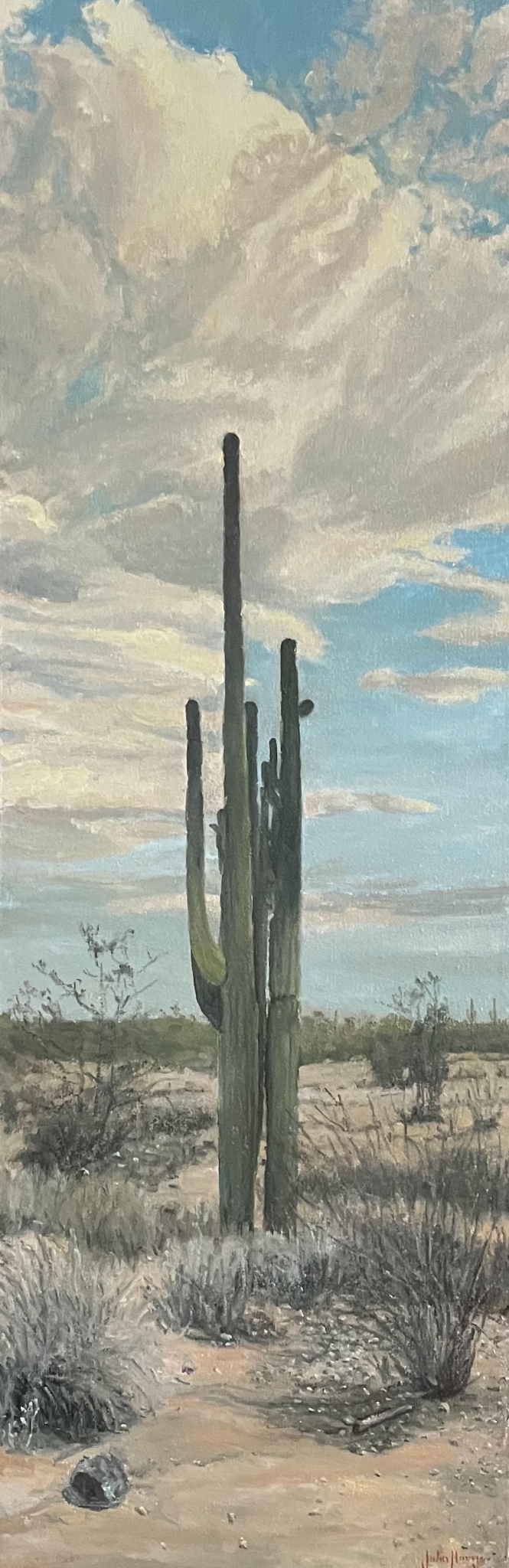 Click here to view Saguaros and Sky by John Horejs