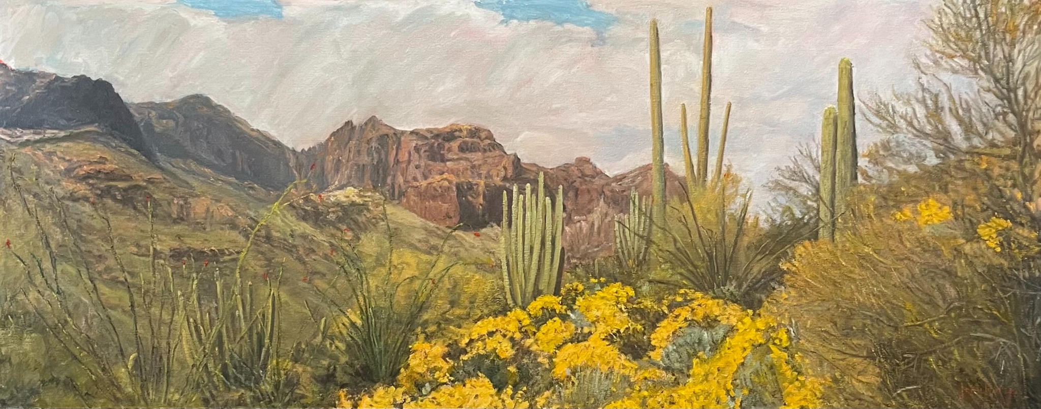 Click here to view Sonoran Desert in Bloom by John Horejs