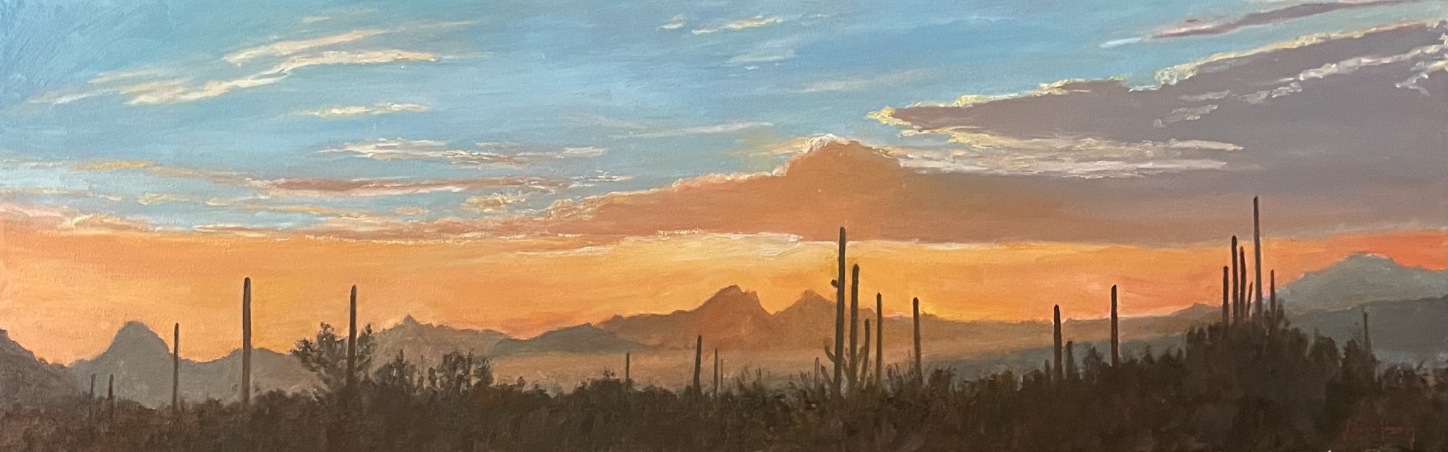 Click here to view Desert Sunset Symphony by John Horejs