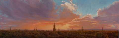 Click here to view Desertscape--Saguaro Sunset by John Horejs