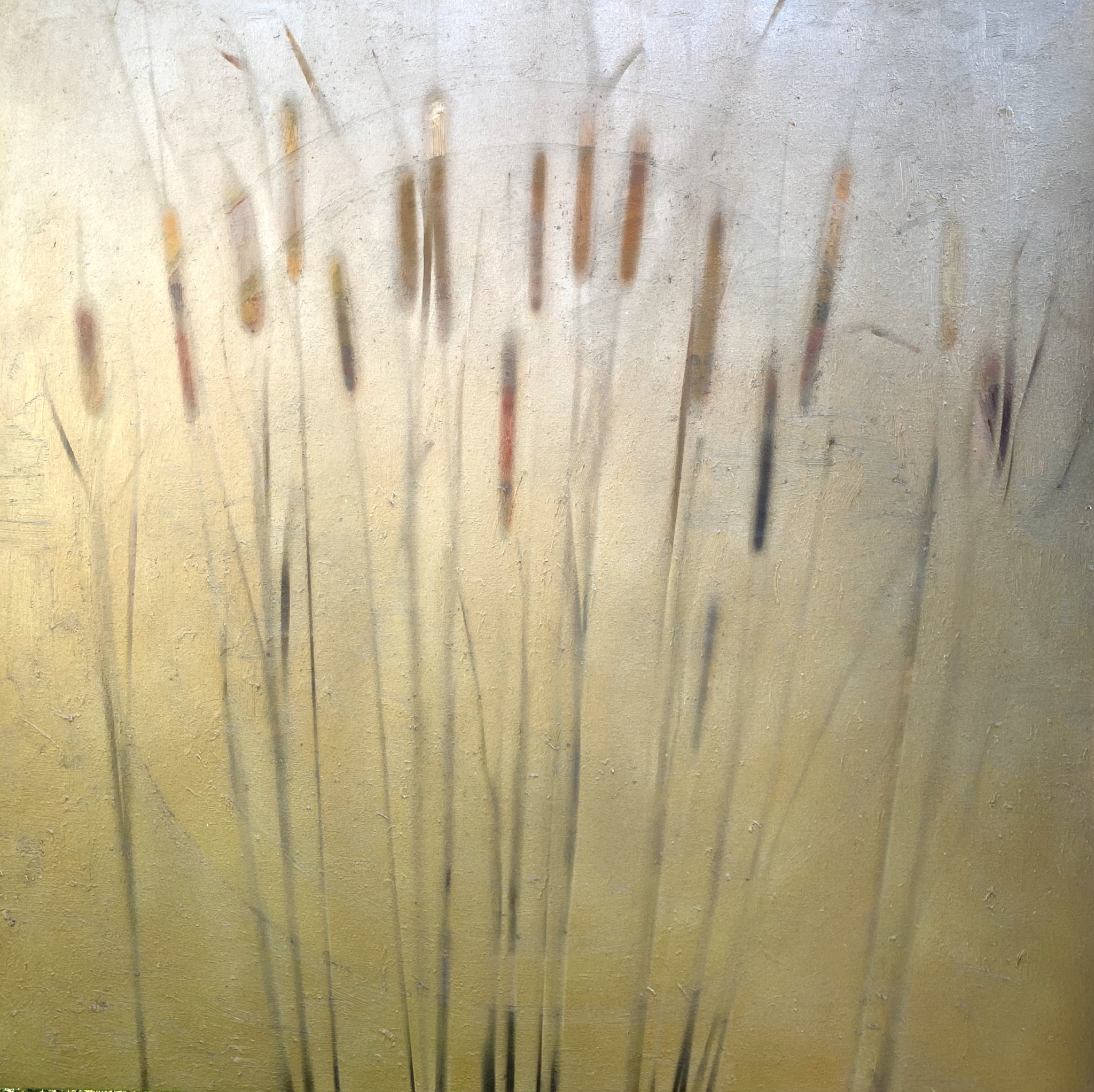 Nature 50 by John Horejs