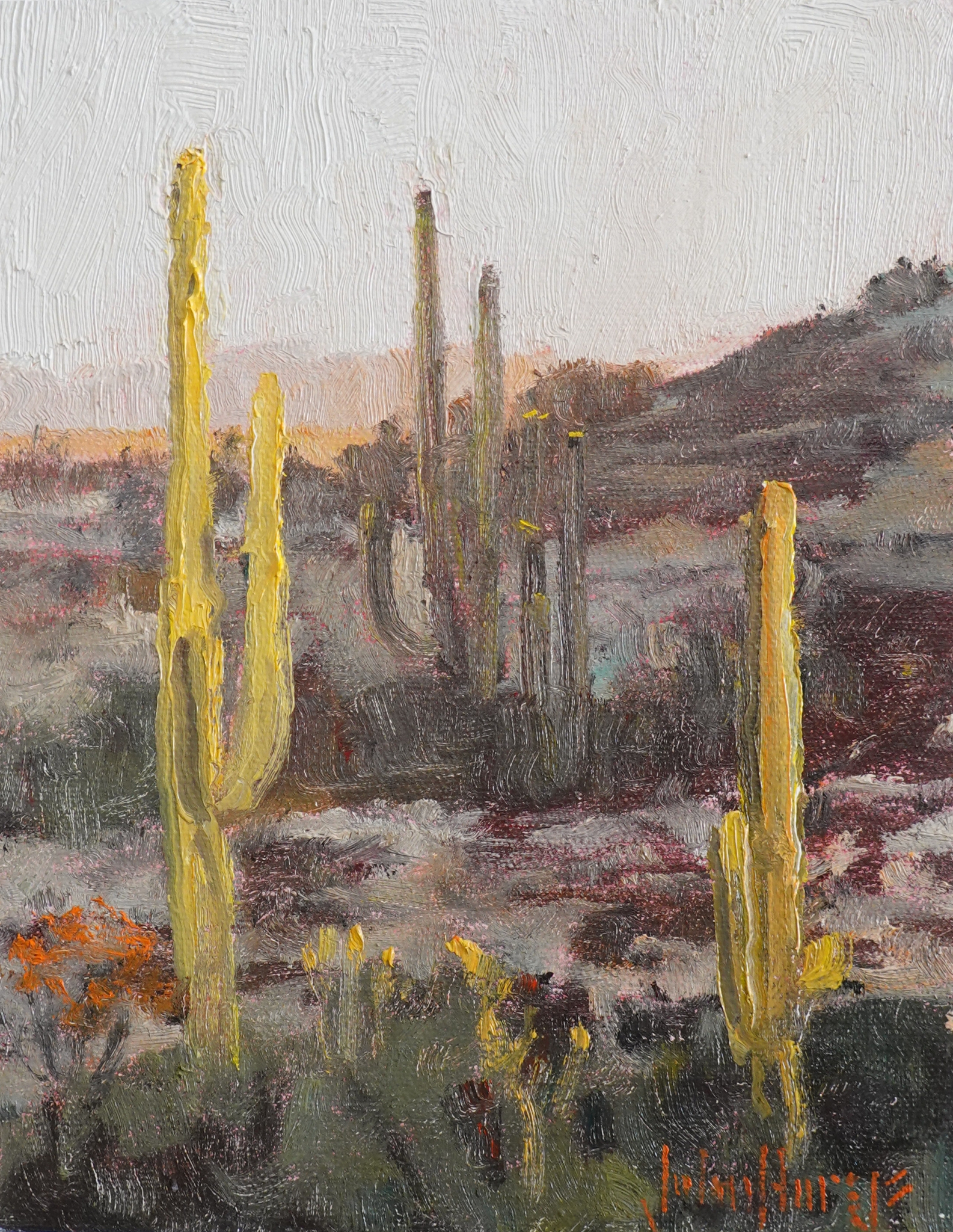 Desertscape--Desert Light by John Horejs
