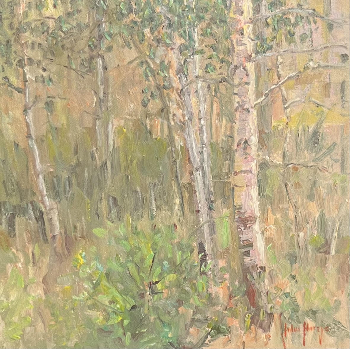 River Run Aspens by John Horejs