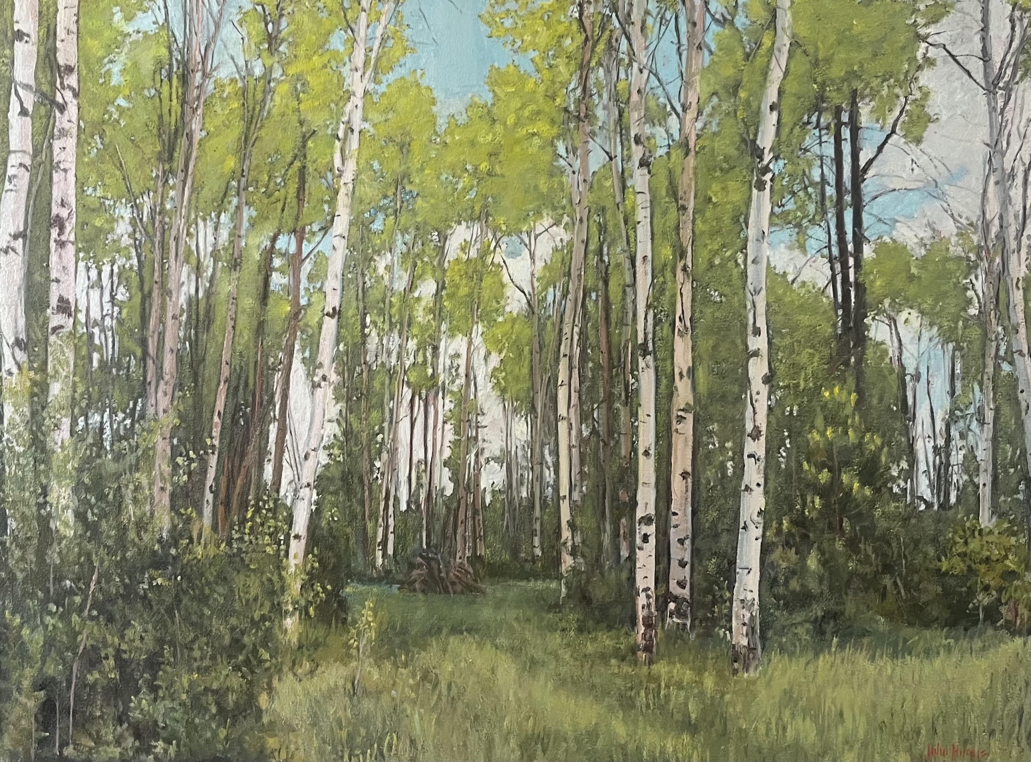 Click here to view June Birch Forest by John Horejs